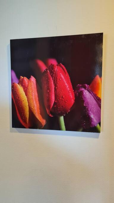Oude Meesters โบลส์วาร์ด ภายนอก รูปภาพ